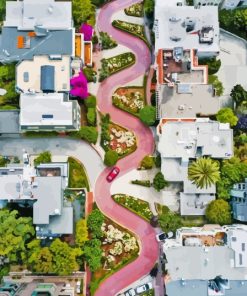 Lombard Street California Paint By Numbers