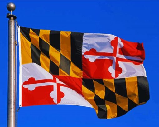 Maryland Flying Flag Paint By Numbers