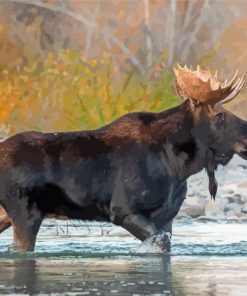 Moose Animal In River Paint By Numbers