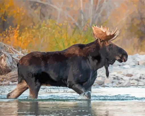 Moose Animal In River Paint By Numbers