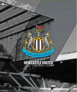 Newcastle United Football Club Paint By Numbers