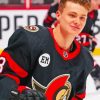 Ottawa Senators Team Player Paint By Numbers