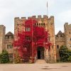 Red Plant On Hever Castle Wall Paint By Numbers