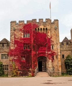 Red Plant On Hever Castle Wall Paint By Numbers