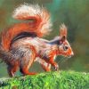 Red Squirrel On A Branch Art Paint By Numbers