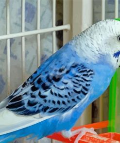 The Blue Parakeet Paint By Numbers