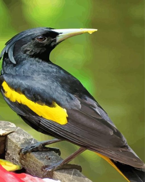 The Yellow Winged Blackbird Paint By Numbers