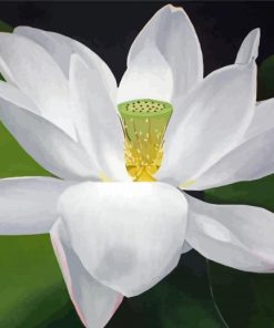 White Lotus Paint By Numbers