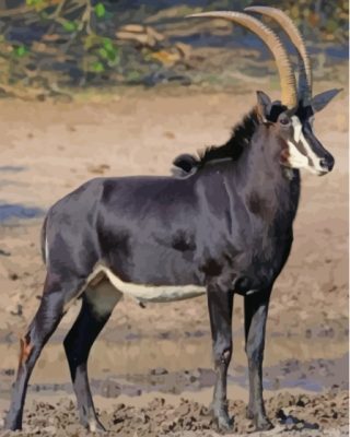 Wild Sable Antelope Paint By Numbers