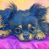 Adorable Black Chihuahua Paint By Numbers