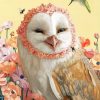 Adorable Owl Paint By Numbers