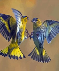 Aesthetic Eurasian Siskin Paint By Numbers