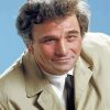 Aesthetic Peter Falk Paint By Numbers