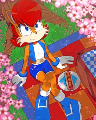 Aesthetic Princess Sally Acorn Paint By Numbers