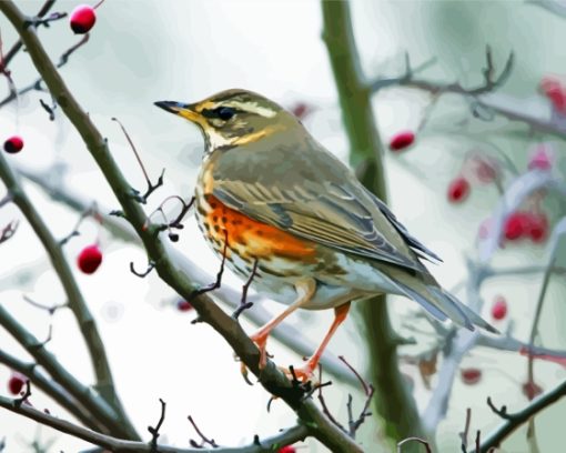 Aesthetic Redwing Bird Paint By Numbers