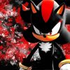 Aesthetic Shadow The Hedgehog Paint By Numbers