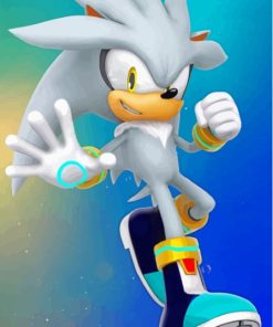 Aesthetic Silver The Hedgehog Paint By Numbers