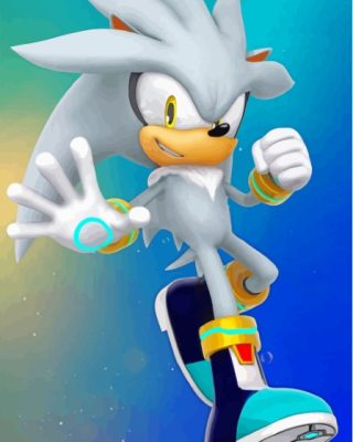 Aesthetic Silver The Hedgehog Paint By Numbers