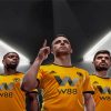 Aesthetic Wolverhampton Wolves Paint By Numbers