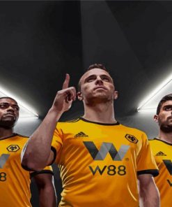 Aesthetic Wolverhampton Wolves Paint By Numbers