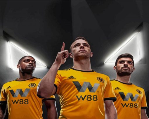 Aesthetic Wolverhampton Wolves Paint By Numbers