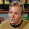 Aesthetic William Shatner Paint By Numbers