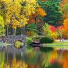 Autumn Central Park Water Reflection Paint By Numbers