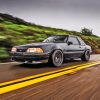 Black Mustang Fox Body Paint By Numbers