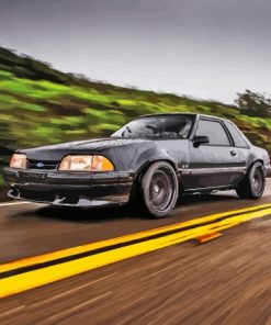 Black Mustang Fox Body Paint By Numbers