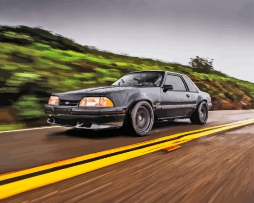 Black Mustang Fox Body Paint By Numbers