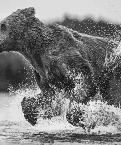 Black And White Bear Running In Water Paint By Numbers