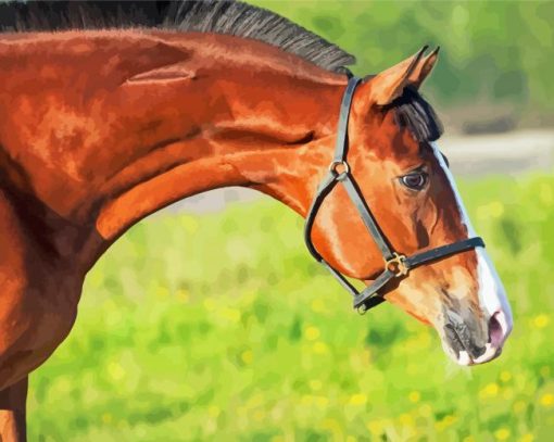 Brown Horse Animal In Farm Paint By Numbers