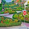 California Lombard Street Paint By Numbers