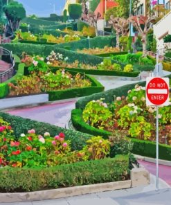 California Lombard Street Paint By Numbers