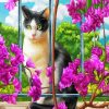 Cat And Purple Flowers Paint By Numbers