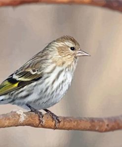 Cool Eurasian Siskin Paint By Numbers