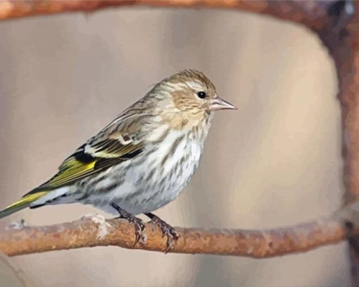 Cool Eurasian Siskin Paint By Numbers