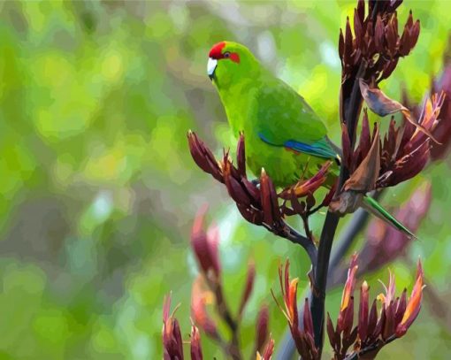 Cool Red Crowned Parakeet Bird Paint By Numbers