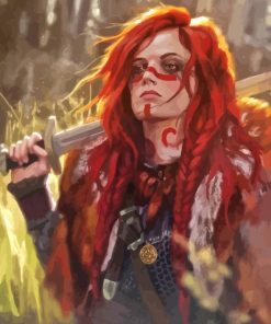 Scottish Female Warrior Paint By Numbers