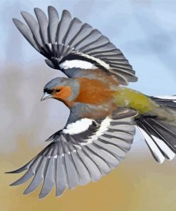 Flying Chaffinch Bird Paint By Numbers