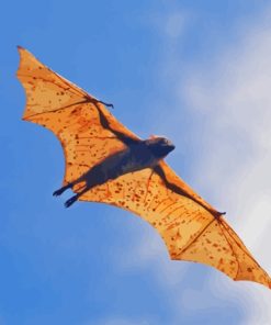 Giant Golden Crowned Flying Fox In A Flight Paint By Numbers