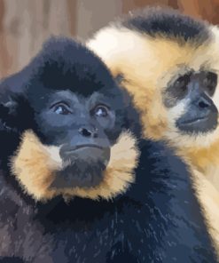 Gibbons Monkeys Paint By Numbers