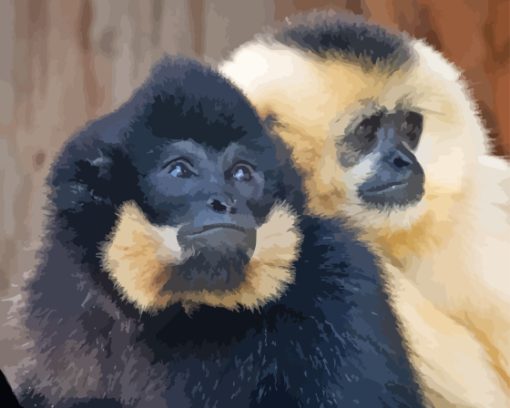 Gibbons Monkeys Paint By Numbers