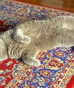 Grey Cat On Persian Rug Paint By Numbers