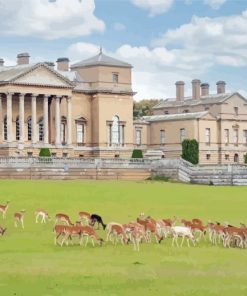 Holkham Paint By Numbers