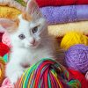 Kitten With Yarns Balls Paint By Numbers