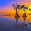 Mangrove Trees At Sunset Paint By Numbers