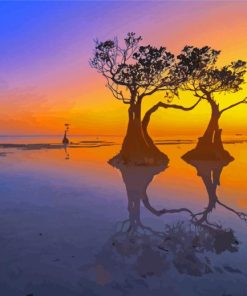 Mangrove Trees At Sunset Paint By Numbers