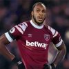 Michail Antonio Paint By Numbers