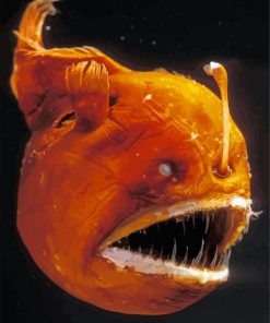 Orange Anglerfish Paint By Numbers